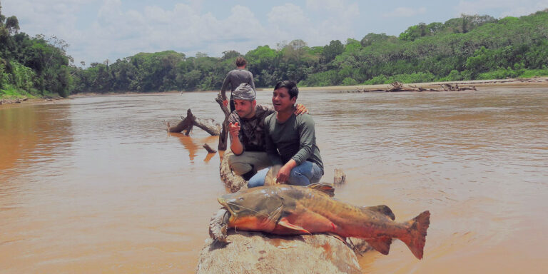 Tour Zona Reservada del Manu 8 días: fotografía de jaguares