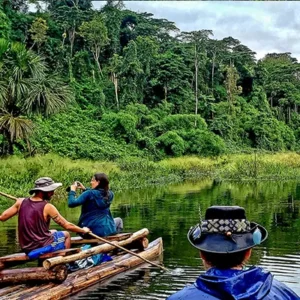 Manu & Tambopata Entrance Fees and Tour Costs (2026)