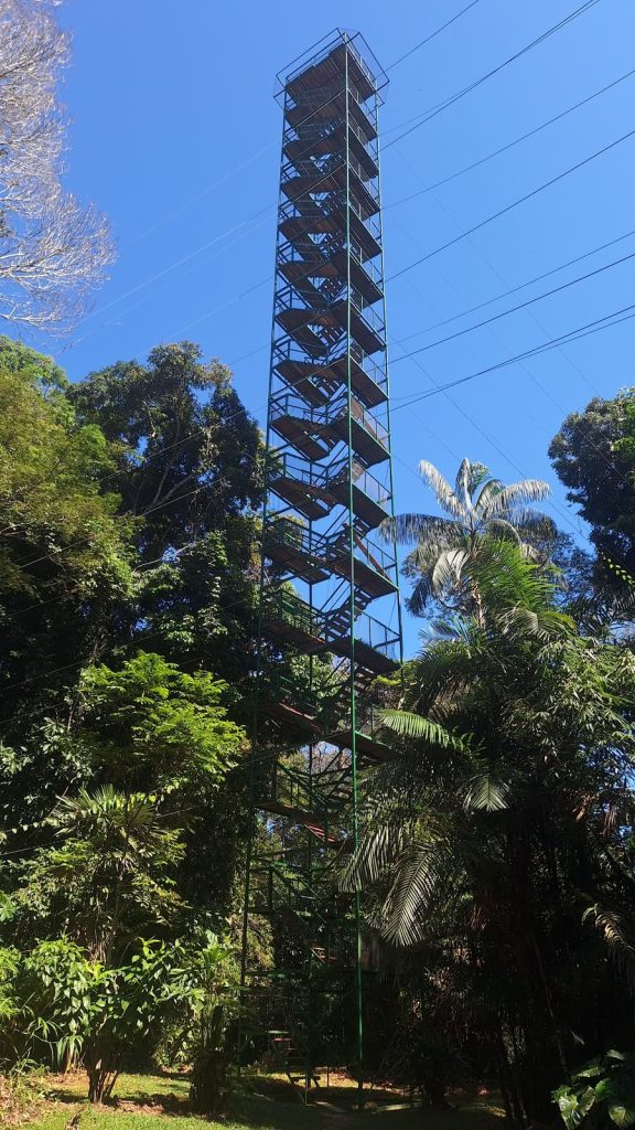 The 50 m canopy tower near Collpas Tambopata Inn, rising above the Tambopata rainforest