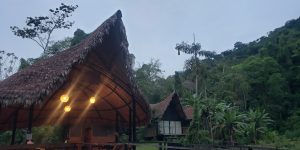 Top Manu Avatar Lodge