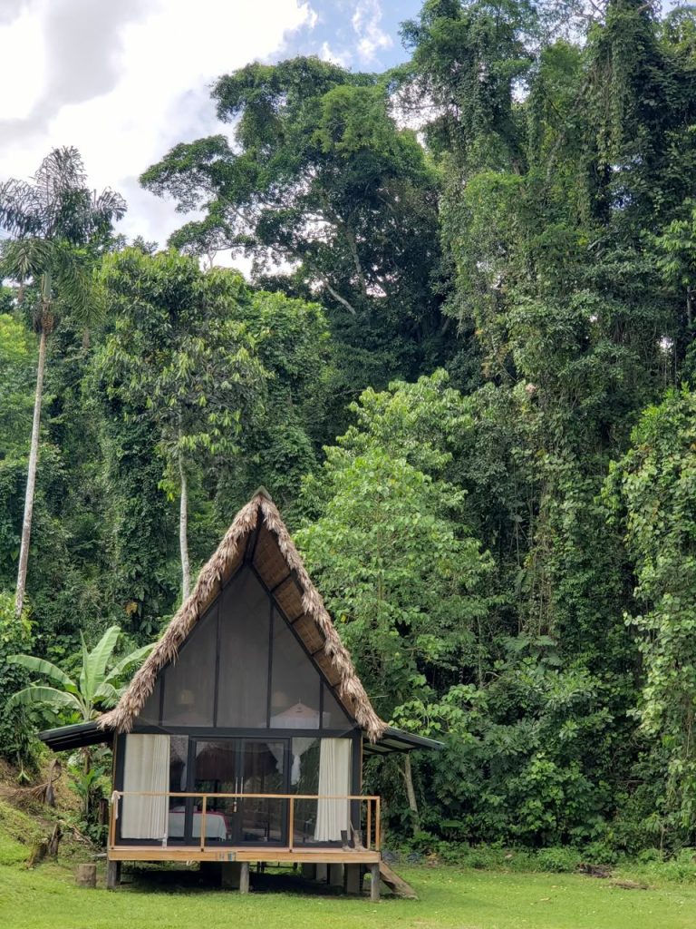 Bungalow de Top Manu Avatar Lodge con frente de vidrio hacia el bosque
