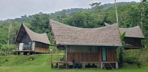 Amazon Rainforest Packing List for Peru: Manu & Tambopata