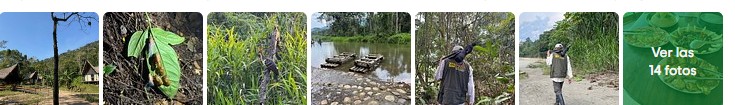 Photos from the Manu tour by Maya R